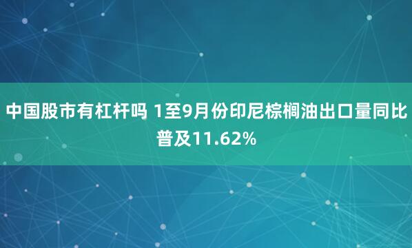 中国股市有杠杆吗 1至9月份印尼棕榈油出口量同比普及11.62%