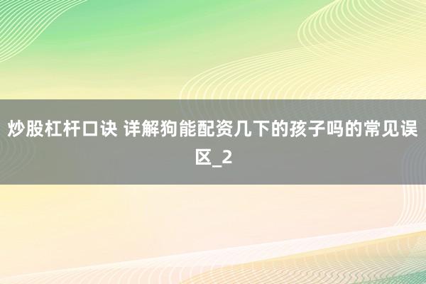 炒股杠杆口诀 详解狗能配资几下的孩子吗的常见误区_2